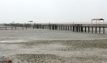 《星刃》新体模发工作照 新性感战衣要来了？